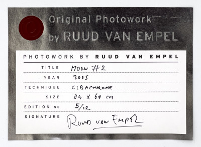 Ruud Van Empel - Moon #2