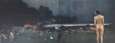 Damian Loeb - Untitled (Plane Crash)