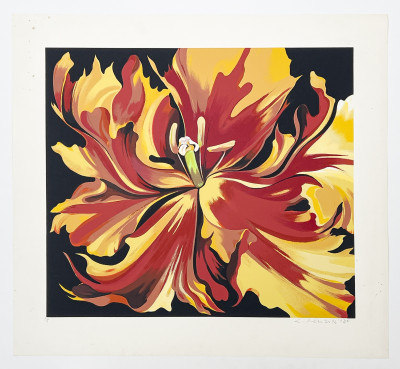 Lowell Nesbitt - Red and Yellow Parrot Tulip (5 Works)