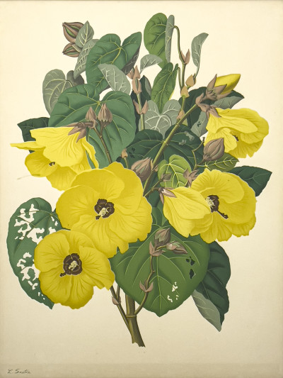 Image for Lot Lloyd Sexton, Jr. - The Golden Yellow Hau Flower