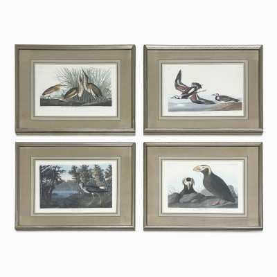 Image for Lot after John James Audubon - Tufted Puffin and other Birds, Group of 4