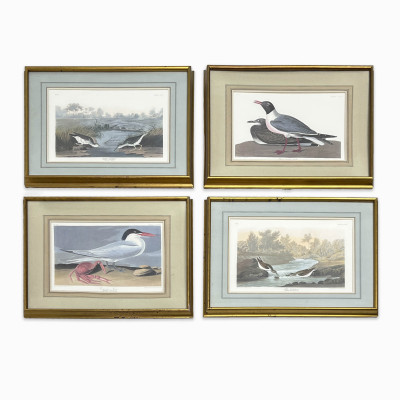 Image for Lot after John James Audubon - Sandpipers and other Birds, Group of 4