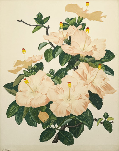 Image for Lot Lloyd Sexton, Jr. - Pink Hibiscus