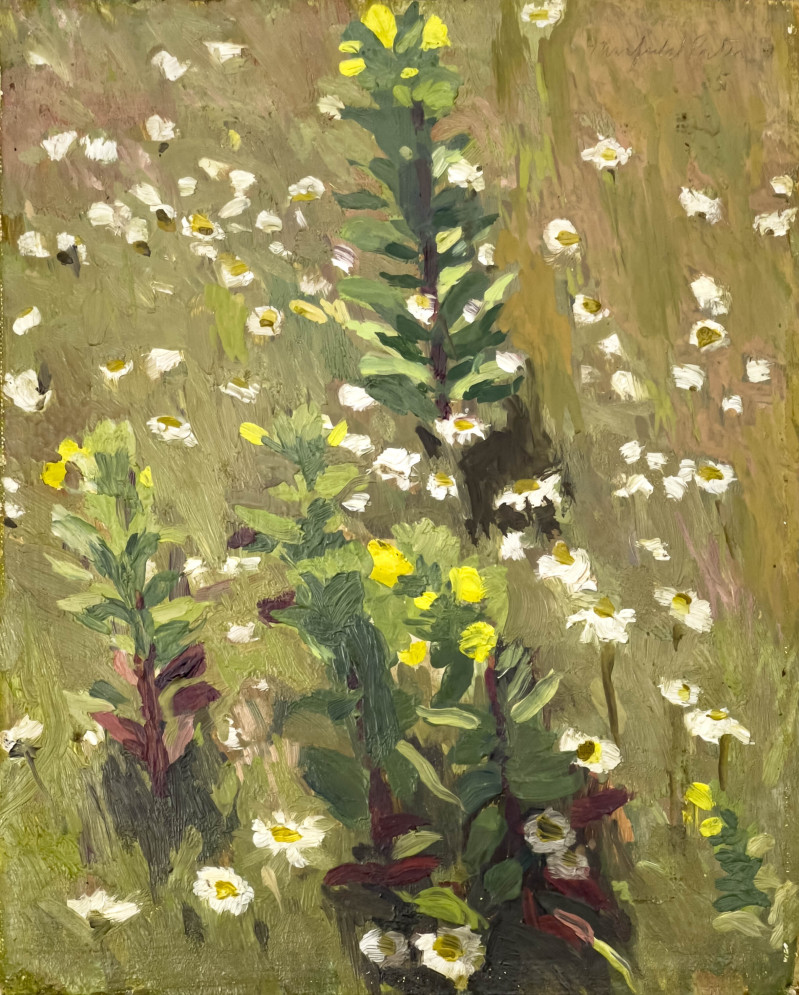 Fairfield Porter - Meadow Flowers