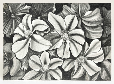 Image for Lot Lowell Nesbitt - Untitled (Dogwoods and Periwinkles)