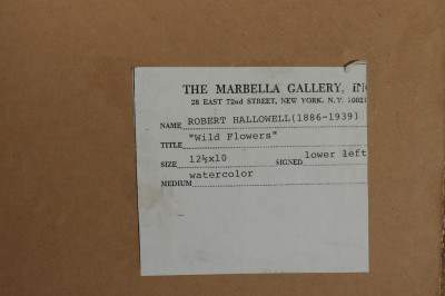 Robert Hallowell  Wild Flowers