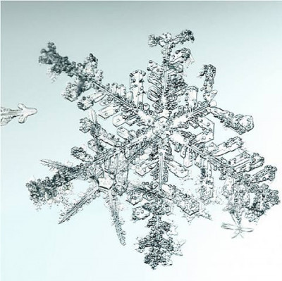 Doug & Mike Starn - Untitled (Snowflake)