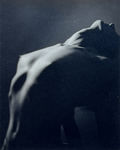 Herbert L. Griffiths - Nude Torso
