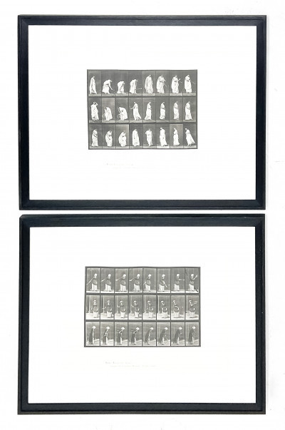 Eadweard Muybridge - Animal Locomotion (Plate 297 and Plate 299)