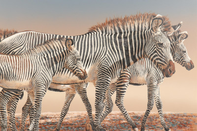 Image for Lot Zebras  Anderson Design Group Oil on Canvas