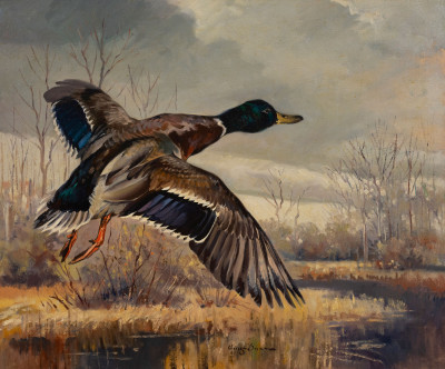 Image for Lot George Browne  - Mallard Going Out