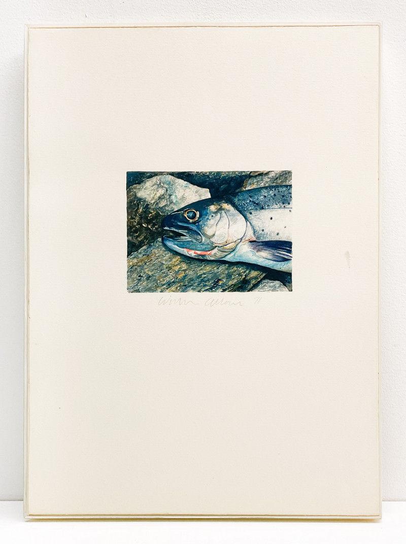 William George Allan - Untitled (Fish)