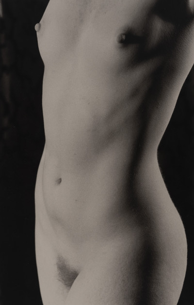 Image for Lot Marie-Claire Montanari  - Torso to the Light