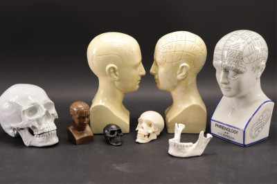 Image for Lot 7 Piece Phrenology Lot