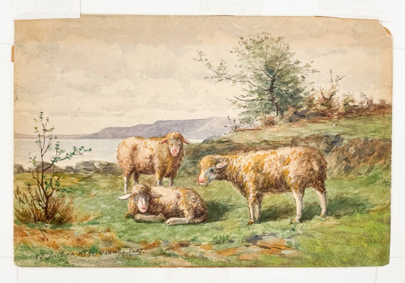 Arthur Fitzwilliam Tait - Orange County (3 sheep)