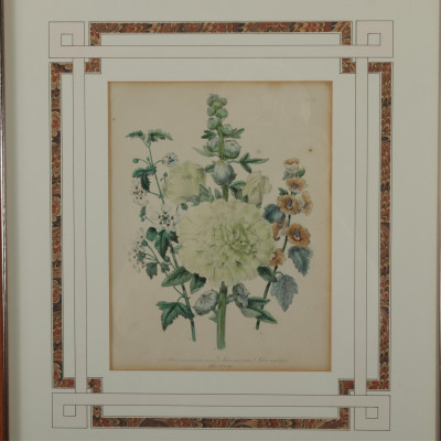 6 Botanical Prints by Day  Haghe 2
