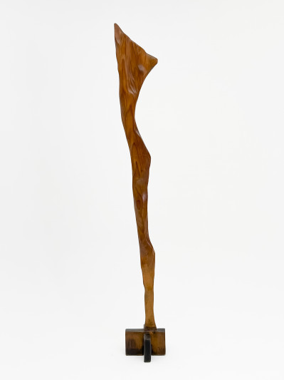 Title Marysole Worner Baz - Organic Wood Form / Artist