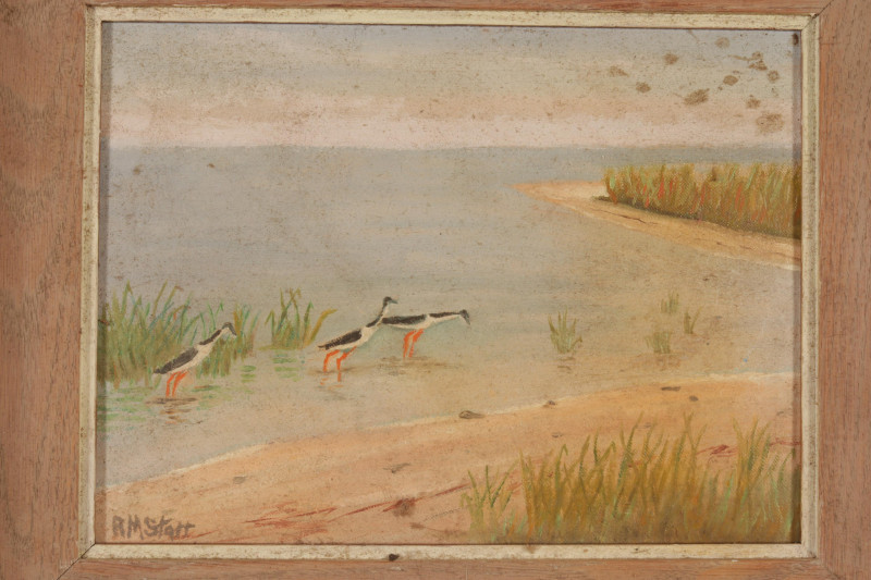 R M Starr Inlet with Sea Birds  3 Prints