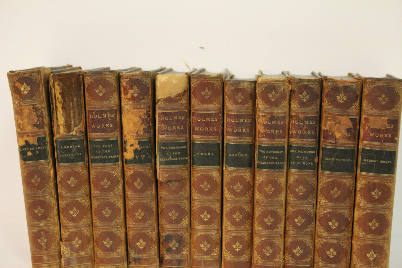 Image 2 of lot 11 Volumes Holme&apos;s Works