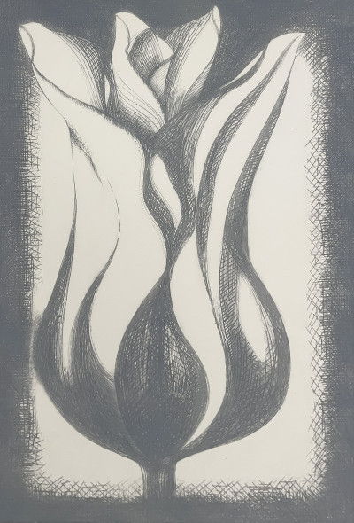 Title Lowell Nesbitt - Untitled (Tulip) / Artist