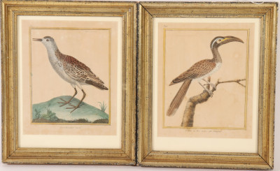 Image for Lot Pr Francois Martinet Birds, 18th C., col. Etching