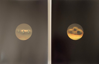 Tauba Auerbach - Pilot Wave Induction (altered stills), set of two C-prints
