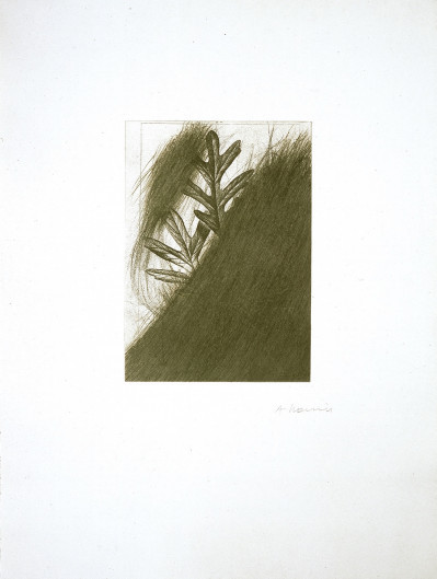 Arnulf Rainer - Eichenblatt (from the portfolio "For Joseph Beuys")
