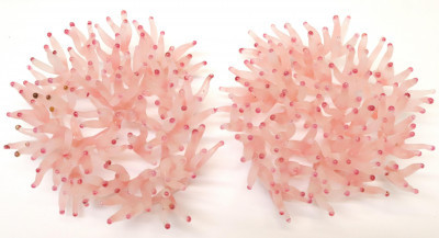 Image for Lot Pr Contemporary Sculptural Studio Glass Sea Coral