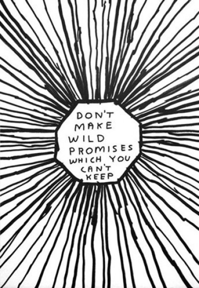 David Shrigley  Don't make wild promises which you can't keep