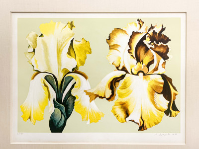 Title Lowell Nesbitt - Two Yellow Irises on Sage / Artist