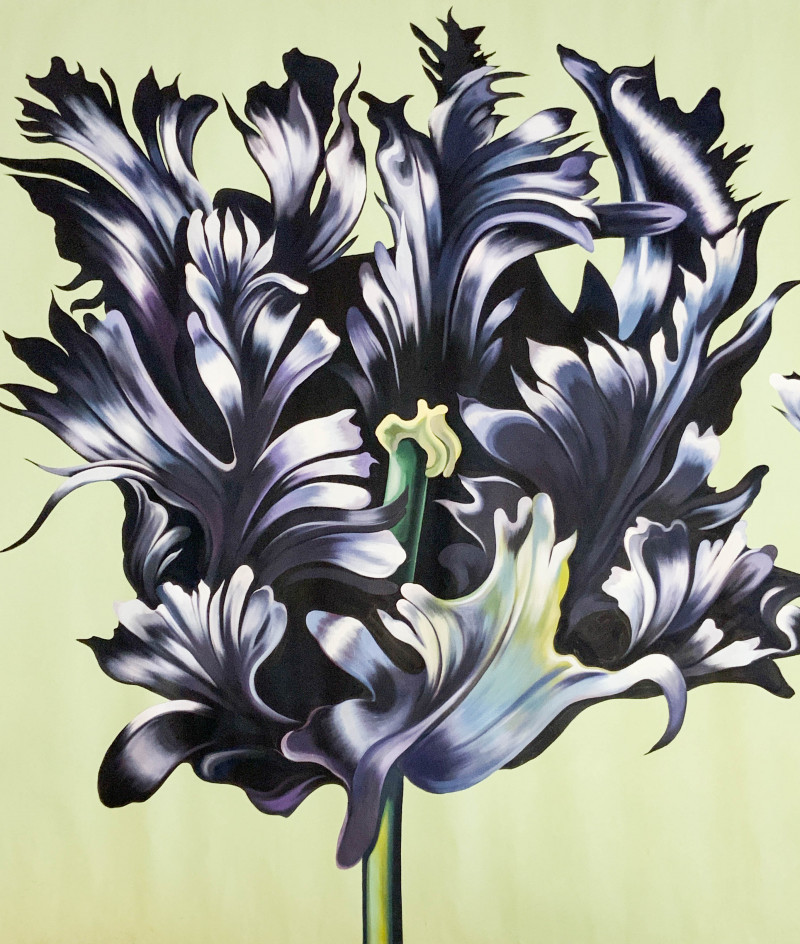 Lowell Nesbitt - Two Black Parrot Tulips