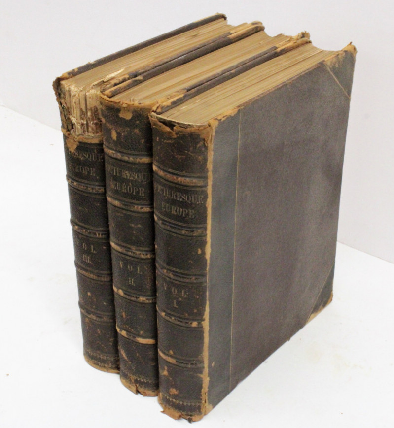 Image 1 of lot 3 Volumes Picturesque Europe