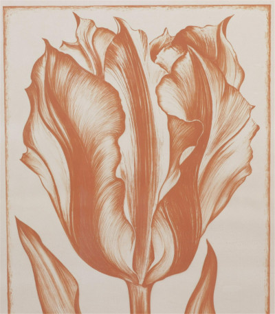 Title Lowell Nesbitt - Orange Iris / Artist