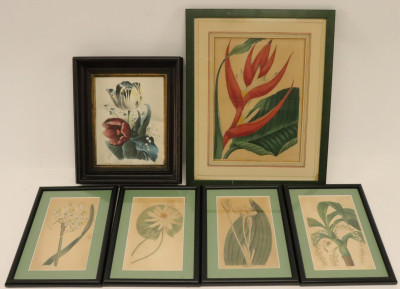 Image for Lot 6 Botanical color lithographs