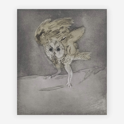Image for Lot Elisabeth Frink   - Long Eared Owl