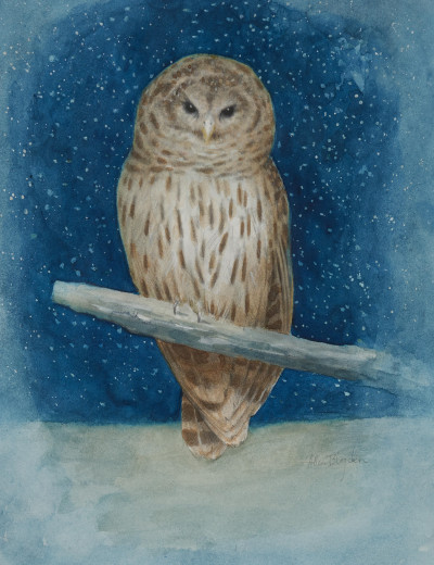 Image for Lot Allen Blagden - Night Owl