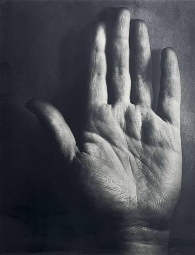 Title Berenice Abbott - Untitled (Hand) / Artist