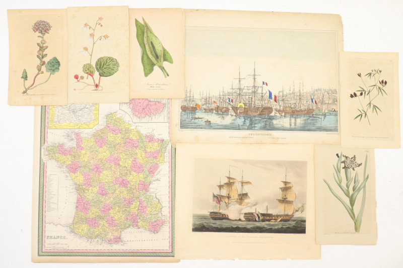 Image 1 of lot 18th19th C Botanical and Nautical prints