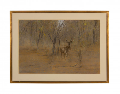 Title Kim Donaldson – Young Kudu Bull / Artist