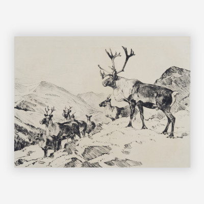 Image for Lot Carl Rungius - Mountain Caribou