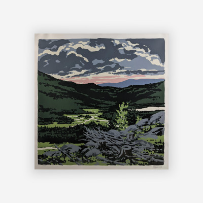 Image for Lot Neil Welliver  - Brigg&apos;s Meadow