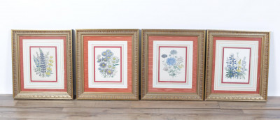 Image for Lot 4 Day  Hague botanical color lithographs