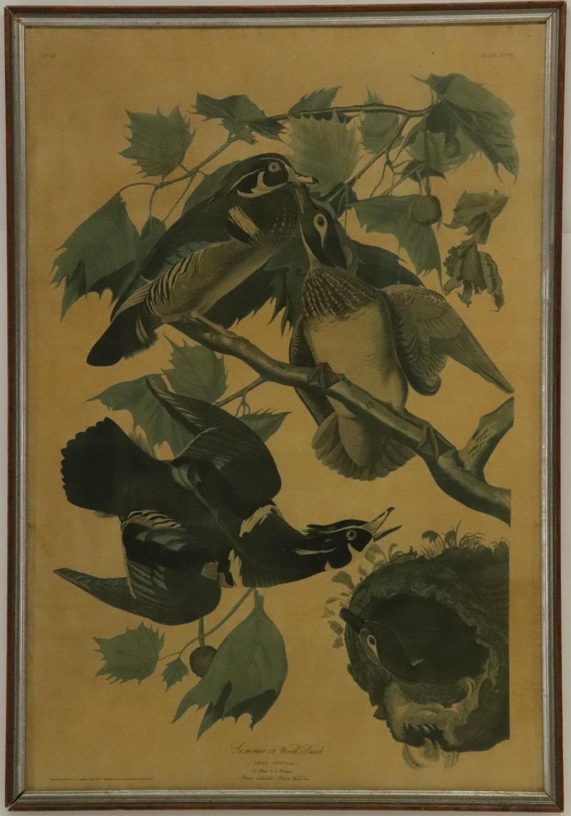 Image 2 of lot 'Wood Duck' JJ Audubon Reproduced Print