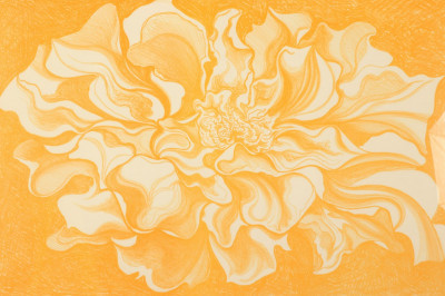 Lowell Nesbitt - Orange Iris