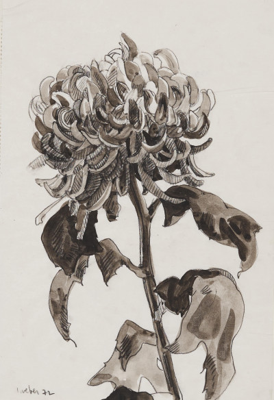 Image for Lot Unknown Artist - Untitled (Chrysanthemum)
