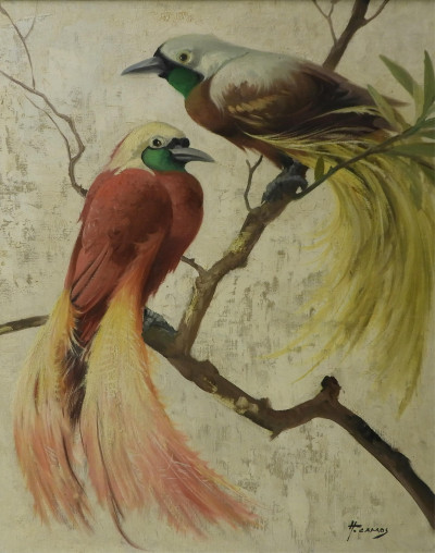 Title Honoré Camos - Greater Bird of Paradise / Artist