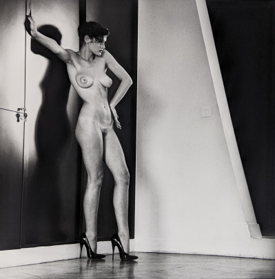Image for Lot Helmut Newton - Sylvia in My Studio