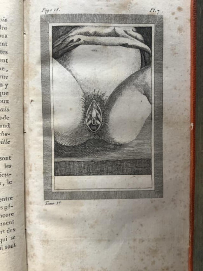 Image 5 of lot 1810 Conjugal Love, male and female anatomy