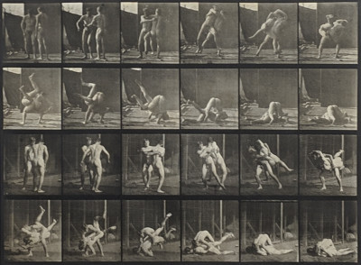 Image for Lot Eadweard  Muybridge - Animal Locomotion: Plate 348 (Wrestlers)