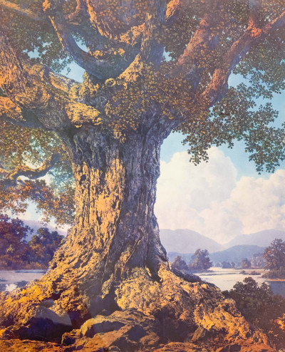Title Maxfield Parrish - An Ancient Tree / Artist